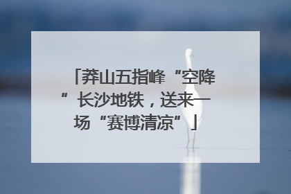 莽山五指峰“空降”长沙地铁，送来一场“赛博清凉”