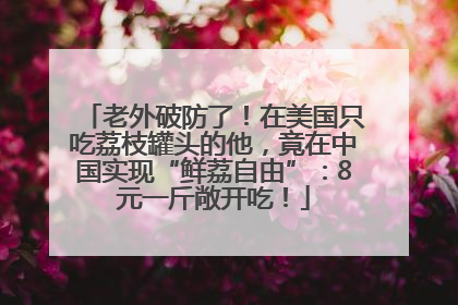 老外破防了！在美国只吃荔枝罐头的他，竟在中国实现“鲜荔自由”：8元一斤敞开吃！