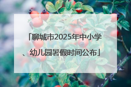 聊城市2025年中小学、幼儿园暑假时间公布