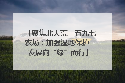 聚焦北大荒｜五九七农场：加强湿地保护 发展向“绿”而行