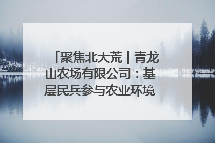 聚焦北大荒｜青龙山农场有限公司：基层民兵参与农业环境综合治理显效