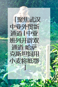 聚焦武汉中亚外贸新通道│中亚班列开辟双通道 哈萨克斯坦饲用小麦将抵鄂