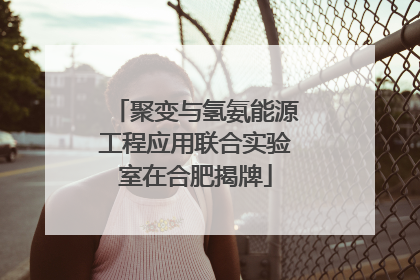 聚变与氢氨能源工程应用联合实验室在合肥揭牌