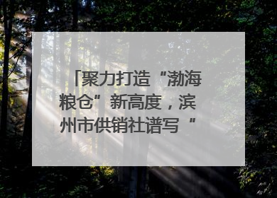 聚力打造“渤海粮仓”新高度，滨州市供销社谱写“三夏”丰收乐章