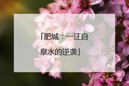 肥城：一汪自泉水的逆袭