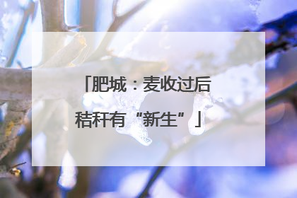 肥城：麦收过后秸秆有“新生”