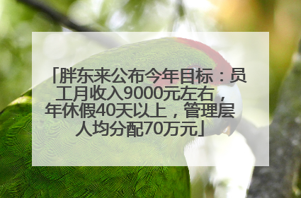胖东来公布今年目标：员工月收入9000元左右，年休假40天以上，管理层人均分配70万元