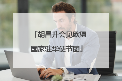 胡昌升会见欧盟国家驻华使节团