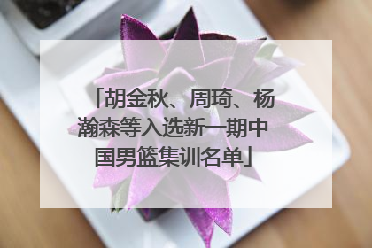 胡金秋、周琦、杨瀚森等入选新一期中国男篮集训名单