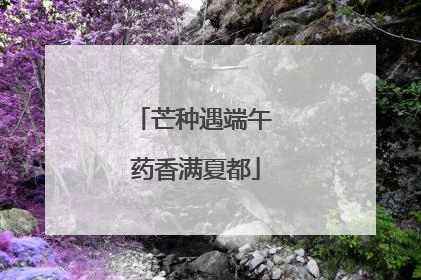 芒种遇端午 药香满夏都