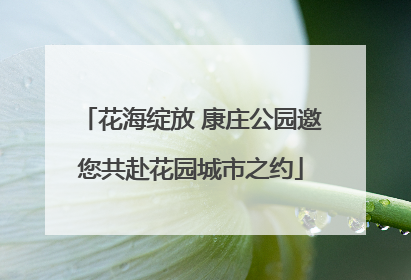 花海绽放 康庄公园邀您共赴花园城市之约
