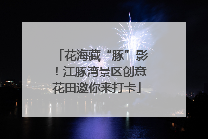 花海藏“豚”影！江豚湾景区创意花田邀你来打卡