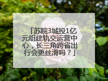 苏皖3城投1亿元组建轨交运营中心，长三角跨省出行会更丝滑吗？