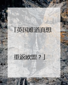 英国难道真想重返欧盟？
