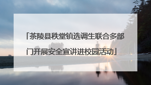 茶陵县秩堂镇选调生联合多部门开展安全宣讲进校园活动