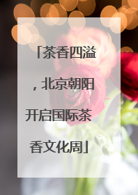 茶香四溢，北京朝阳开启国际茶香文化周