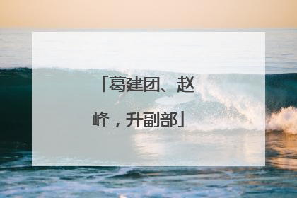 葛建团、赵峰，升副部