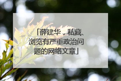 薛建华，私藏、浏览有严重政治问题的网络文章