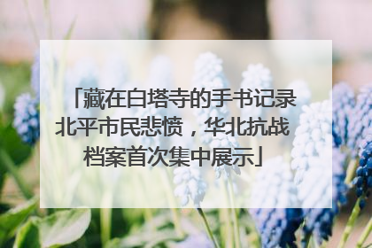 藏在白塔寺的手书记录北平市民悲愤，华北抗战档案首次集中展示