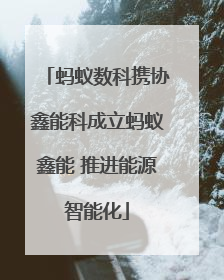 蚂蚁数科携协鑫能科成立蚂蚁鑫能 推进能源智能化