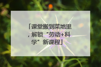 课堂搬到菜地里，解锁“劳动+科学”新课程