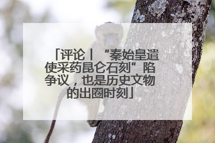 评论丨“秦始皇遣使采药昆仑石刻”陷争议，也是历史文物的出圈时刻