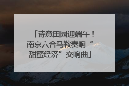 诗意田园迎端午！南京六合马鞍奏响“甜蜜经济”交响曲
