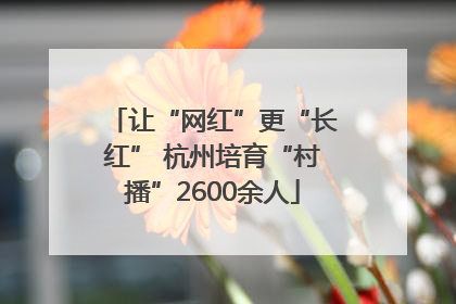 让“网红”更“长红” 杭州培育“村播”2600余人