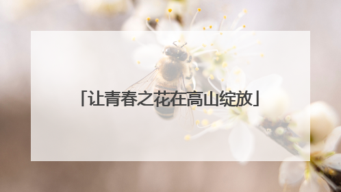 让青春之花在高山绽放