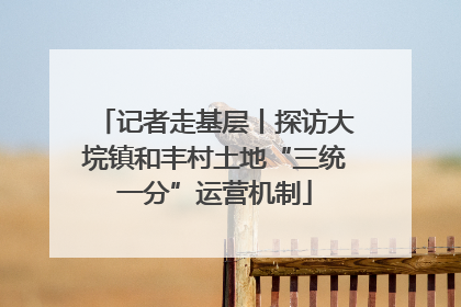 记者走基层丨探访大垸镇和丰村土地“三统一分”运营机制