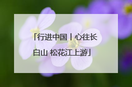 行进中国丨心往长白山 松花江上游
