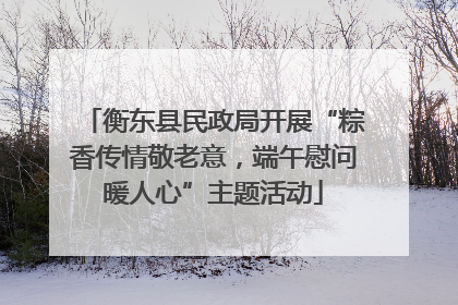 衡东县民政局开展“粽香传情敬老意，端午慰问暖人心”主题活动