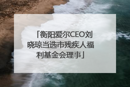 衡阳爱尔CEO刘晓琼当选市残疾人福利基金会理事