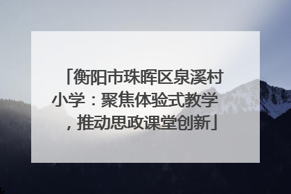 衡阳市珠晖区泉溪村小学：聚焦体验式教学，推动思政课堂创新