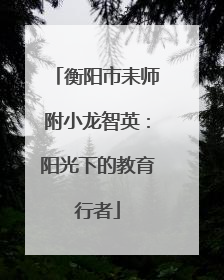 衡阳市耒师附小龙智英：阳光下的教育行者