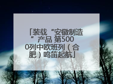 装载“安徽制造”产品 第5000列中欧班列（合肥）鸣笛起航