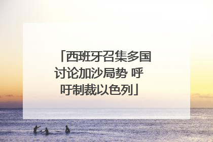 西班牙召集多国讨论加沙局势 呼吁制裁以色列