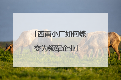 西南小厂如何蝶变为领军企业