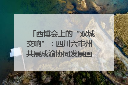 西博会上的“双城交响”：四川六市州共展成渝协同发展画卷｜西博视界