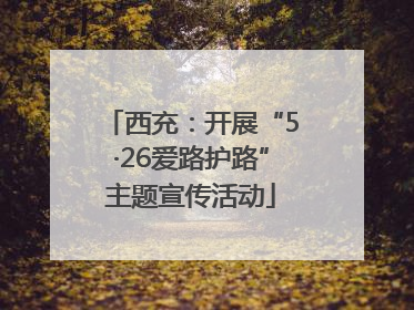 西充：开展“5·26爱路护路”主题宣传活动