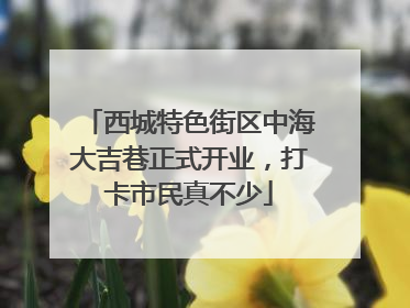 西城特色街区中海大吉巷正式开业，打卡市民真不少