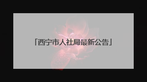 西宁市人社局最新公告