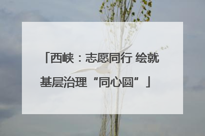 西峡：志愿同行 绘就基层治理“同心圆”