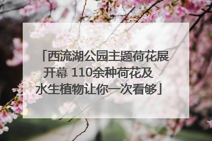 西流湖公园主题荷花展开幕 110余种荷花及水生植物让你一次看够