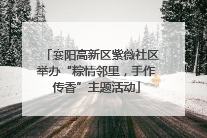 襄阳高新区紫薇社区举办“粽情邻里，手作传香”主题活动