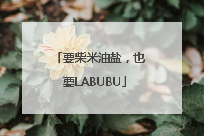 要柴米油盐，也要LABUBU