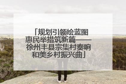 规划引领绘蓝图 惠民举措筑新篇——徐州丰县宗集村奏响和美乡村振兴曲