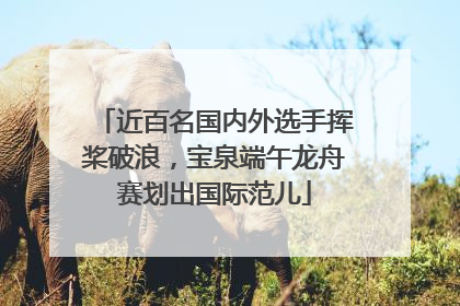 近百名国内外选手挥桨破浪，宝泉端午龙舟赛划出国际范儿