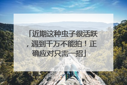 近期这种虫子很活跃，遇到千万不能拍！正确应对只需一招