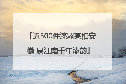 近300件漆器亮相安徽 展江南千年漆韵